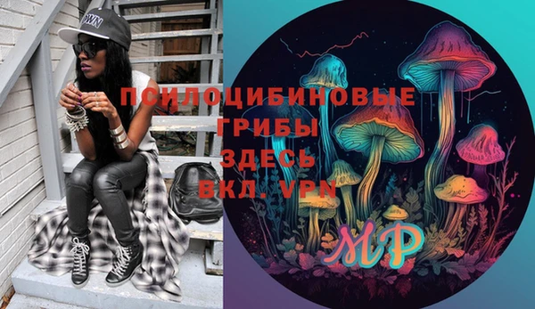 спиды Алзамай