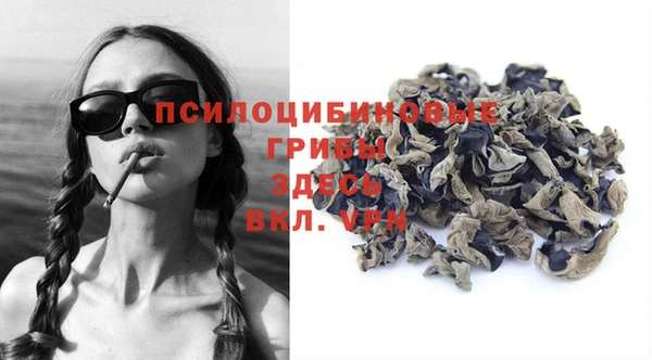спиды Алзамай