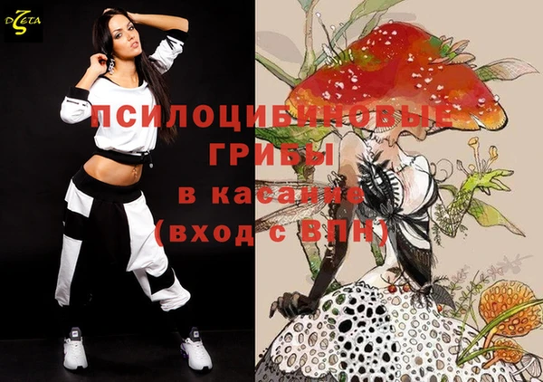 спиды Алзамай